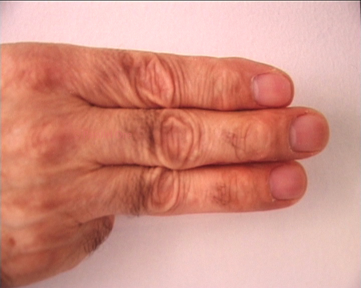 Mes Trois doigts: Parole de Parallel One(tmch)